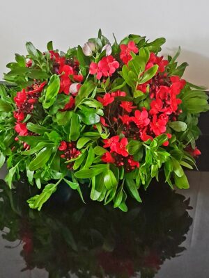 Round Flower Arrangement