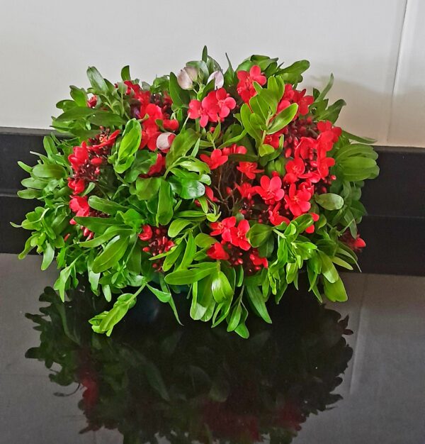 Round Flower Arrangement