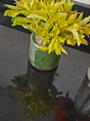 20250526_130513 Golden Cascade: Duranta Elegance